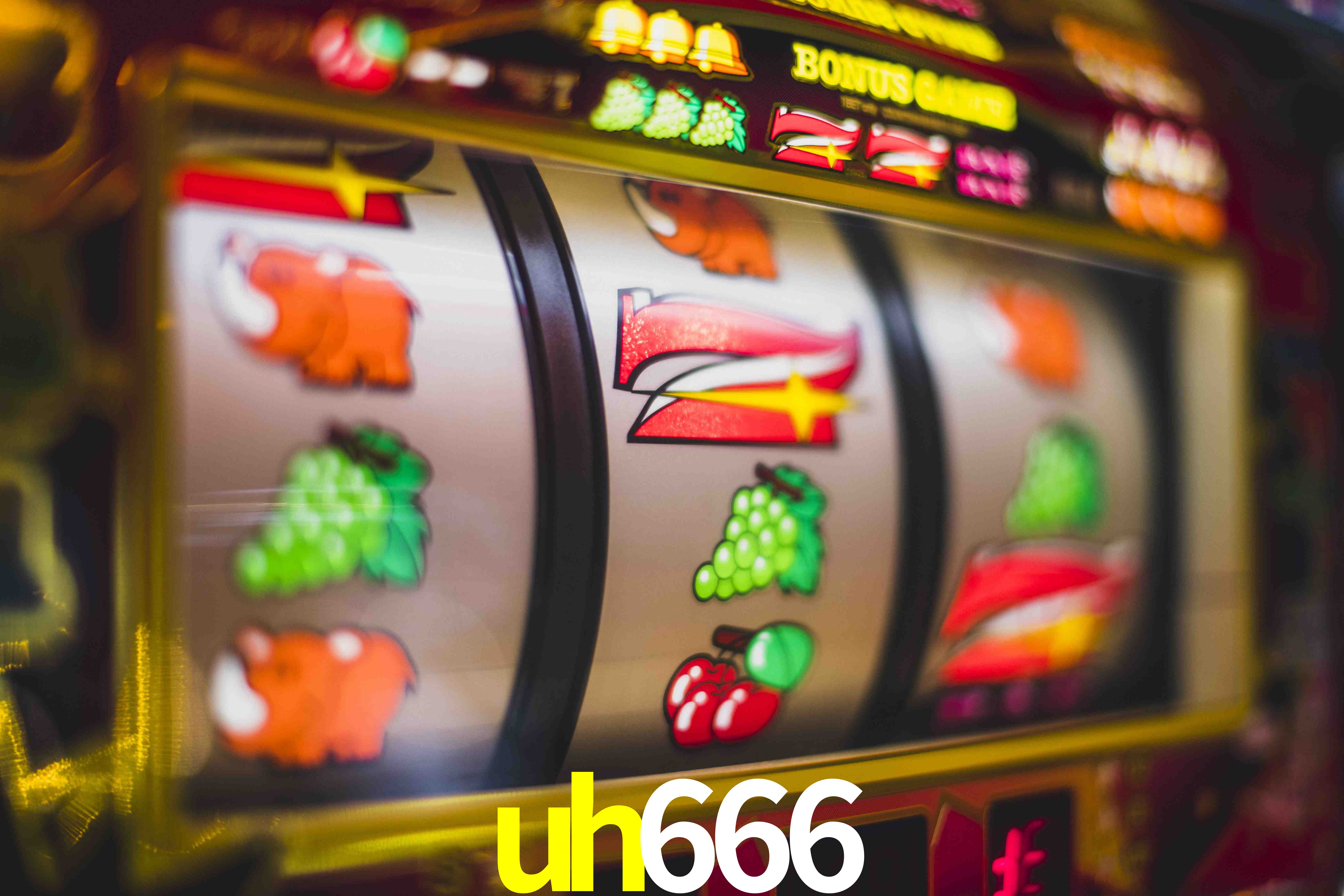 Football Betting uh666